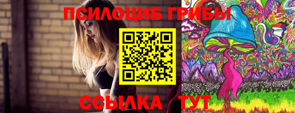 Псилоцибиновые грибы Cubensis  Вход с VPN  Тверь 